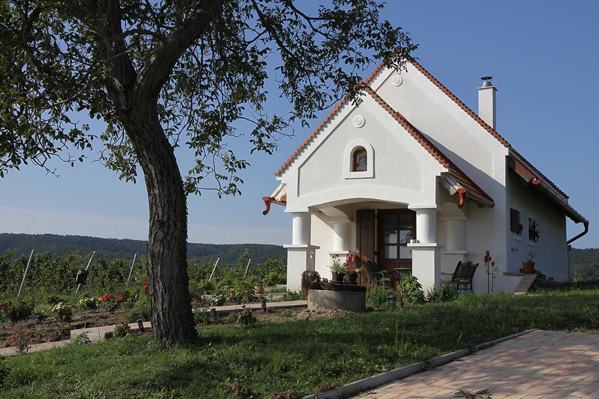 Casa Beata Villa Lesencetomaj ภายนอก รูปภาพ