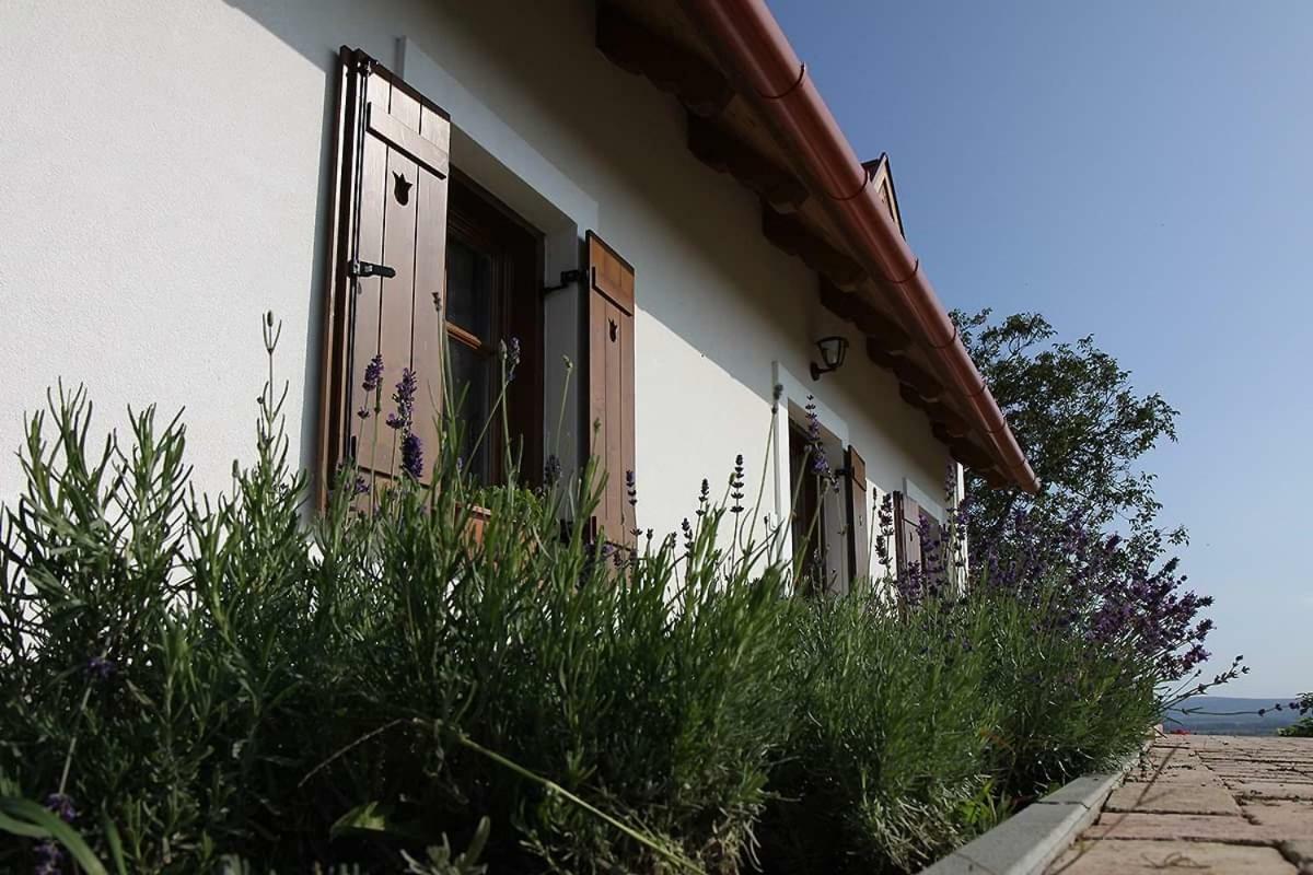 Casa Beata Villa Lesencetomaj ภายนอก รูปภาพ